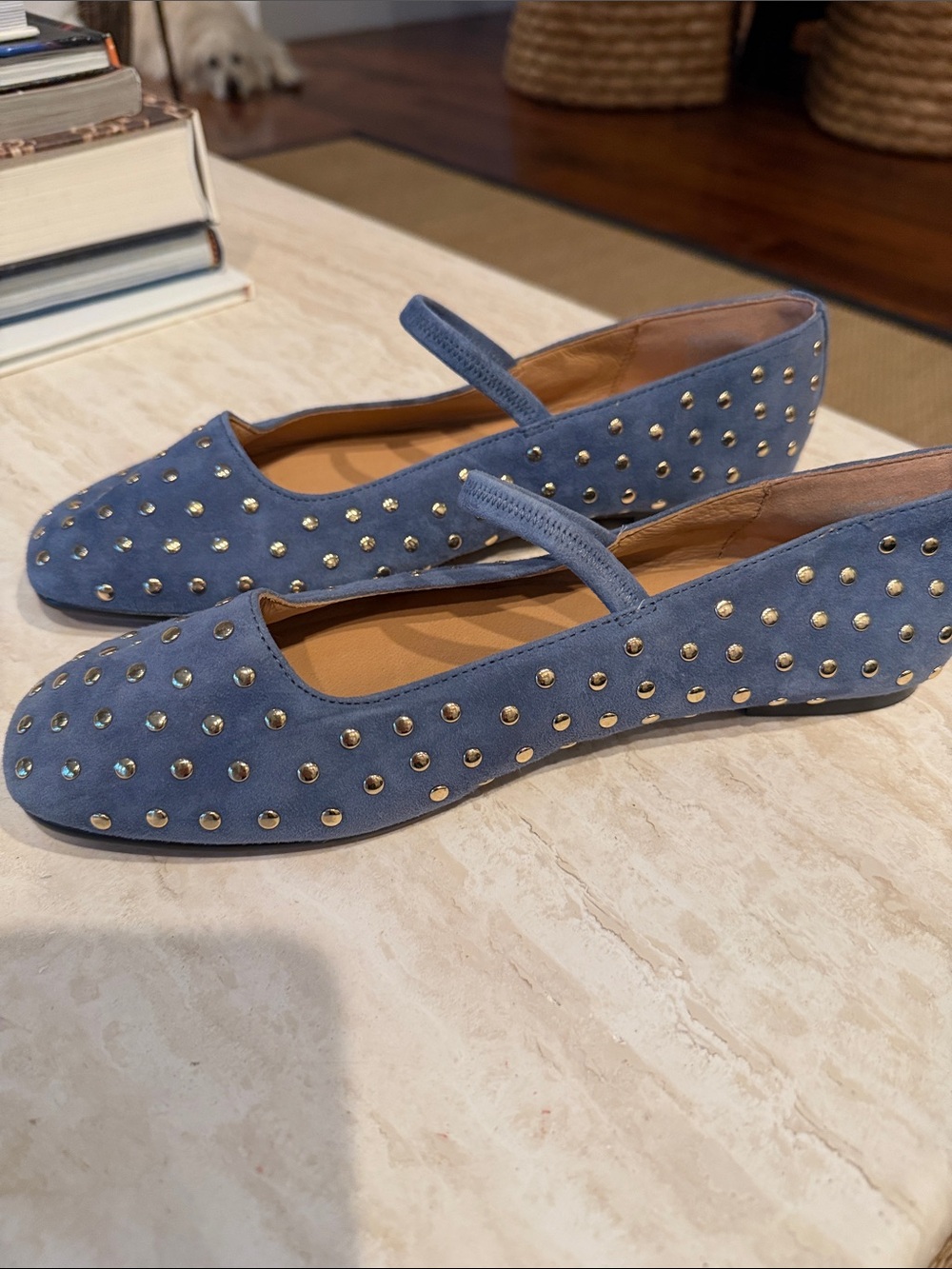 NWT Madewell Studded Blue Suede Mary Jane Flats